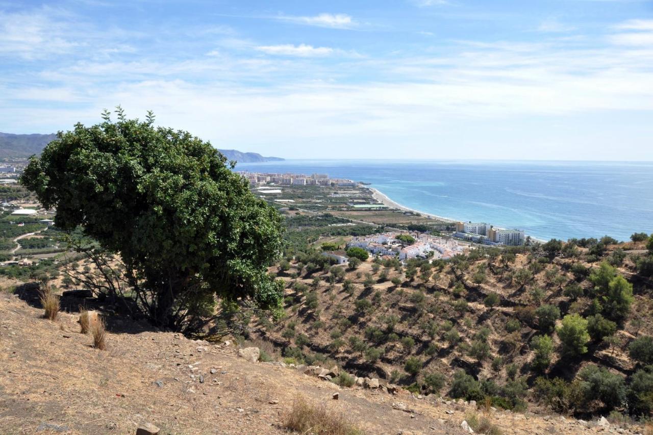 Nerja Paradise Rentals - Villa Los Girasoles Dış mekan fotoğraf